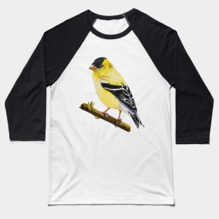 American Goldfinch Drawing (no background) Baseball T-Shirt